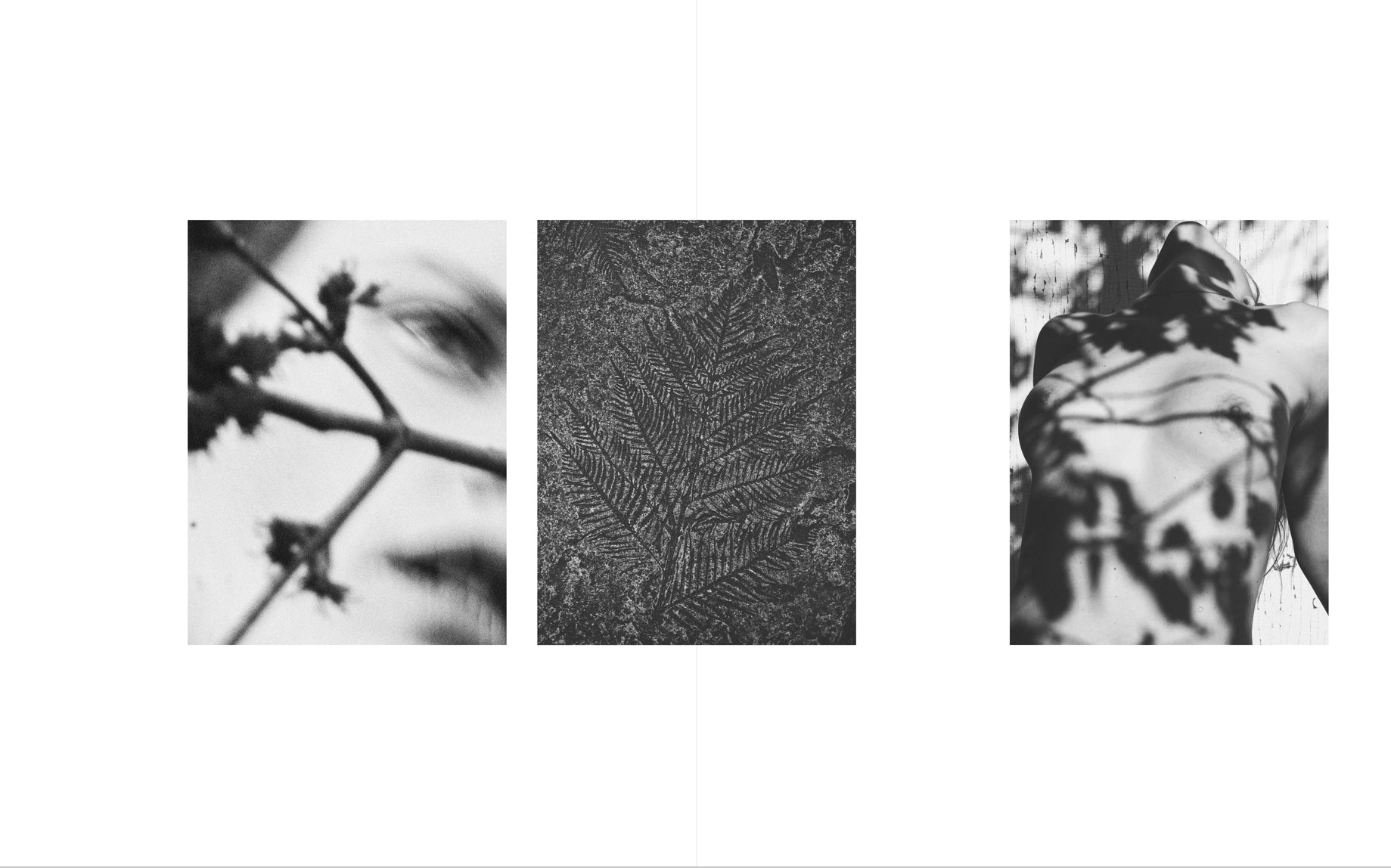 Annemarieke van Drimmelen - Tadaima