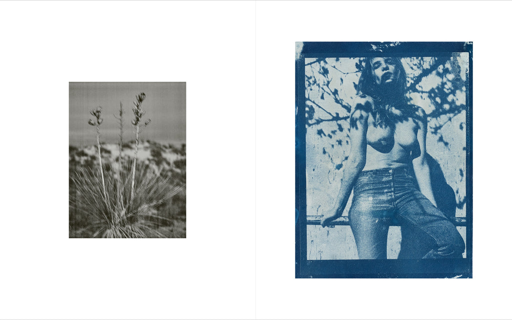 Annemarieke van Drimmelen - Tadaima