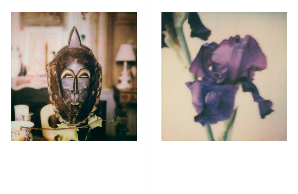 François Halard - 56 Days in Arles