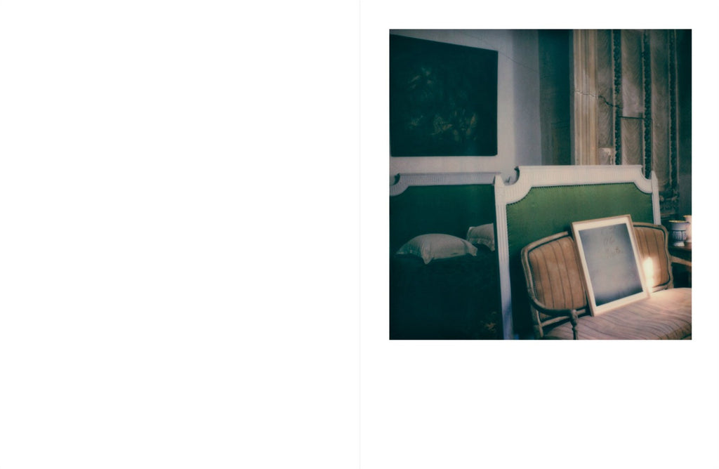 François Halard - 56 Days in Arles