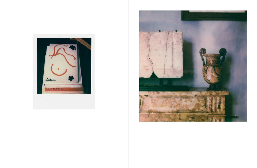 François Halard - 56 Days in Arles