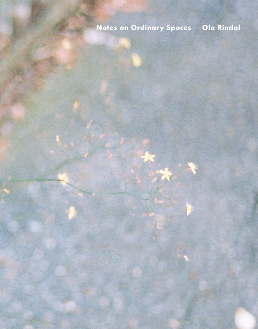 Ola Rindal - Notes on Ordinary Spaces