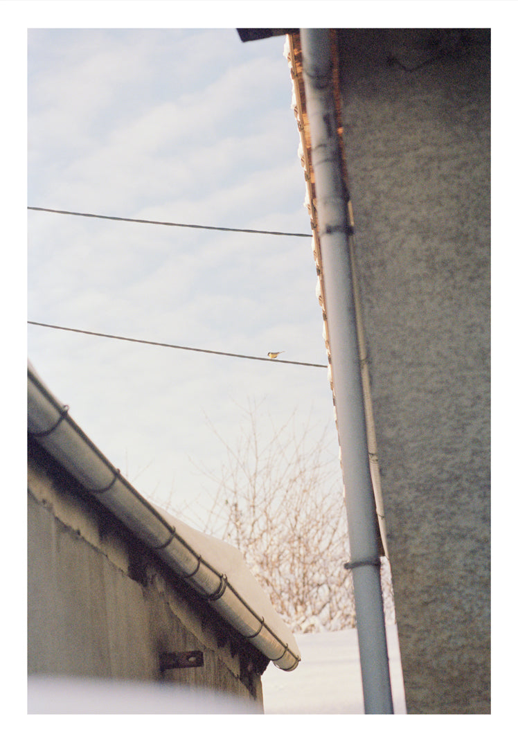 Ola Rindal - Notes on Ordinary Spaces