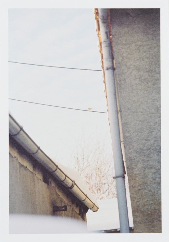 Ola Rindal - Notes on Ordinary Spaces