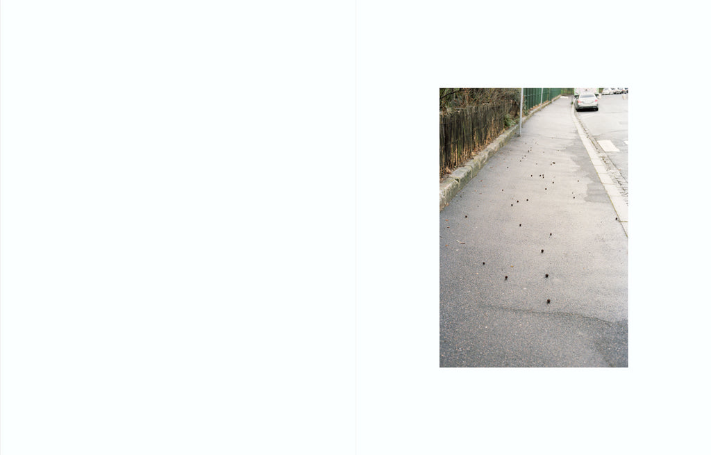 Ola Rindal - Notes on Ordinary Spaces