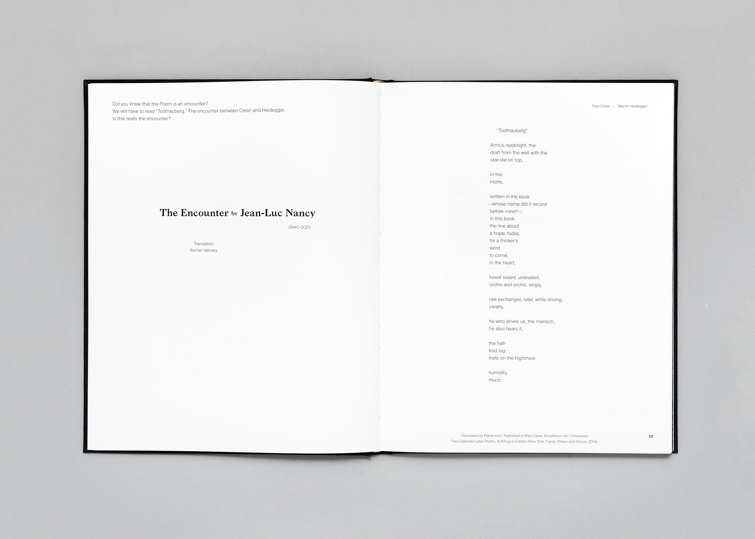 Stéphan Crasneanscki - The Encounter