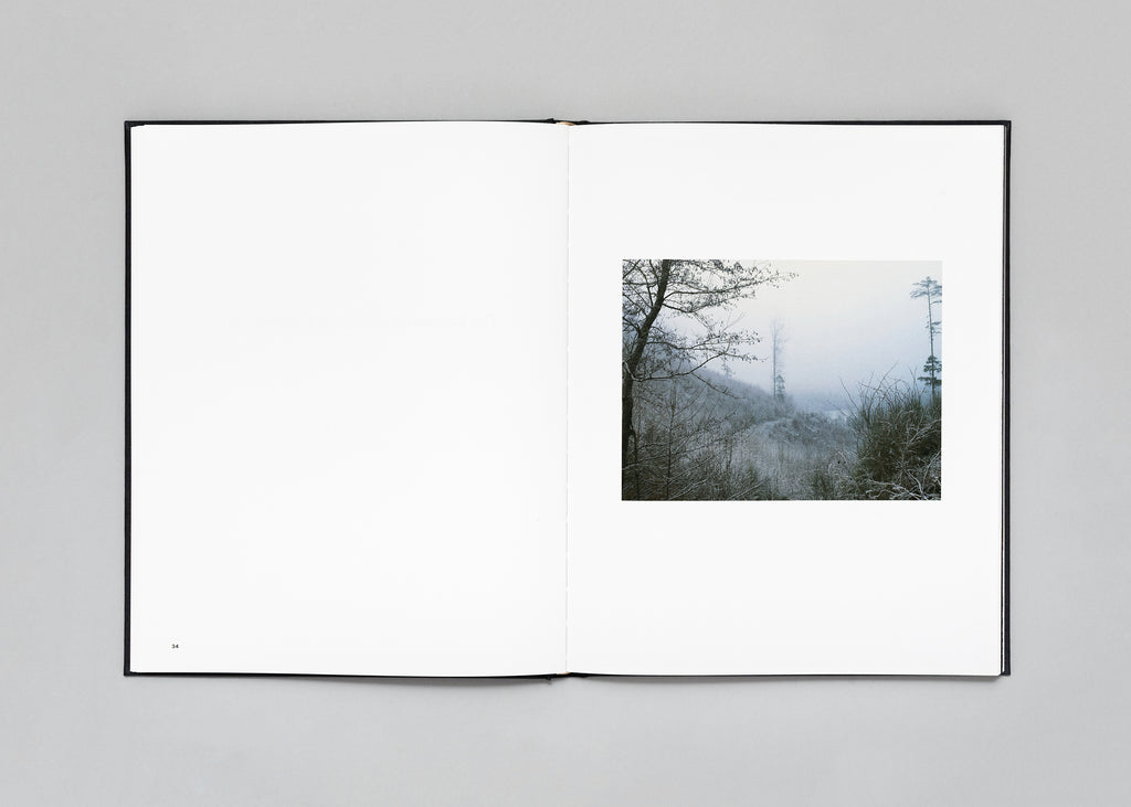 Stéphan Crasneanscki - The Encounter