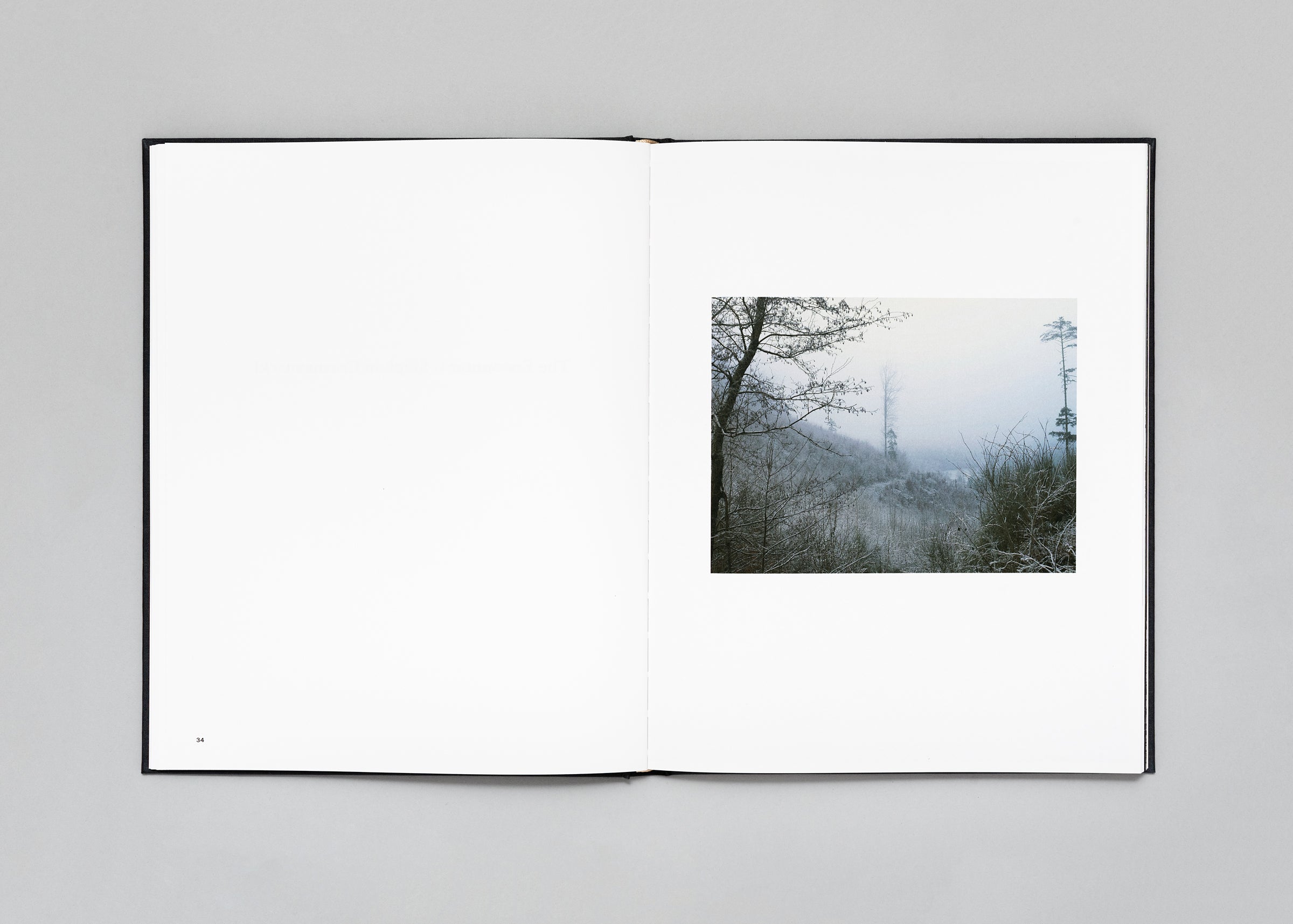 Stéphan Crasneanscki - The Encounter