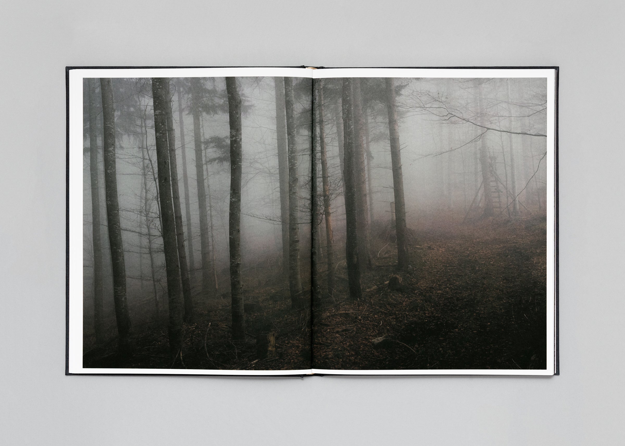 Stéphan Crasneanscki - The Encounter