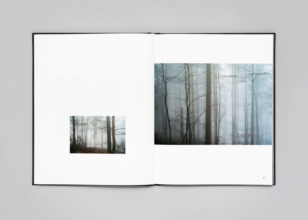 Stéphan Crasneanscki - The Encounter