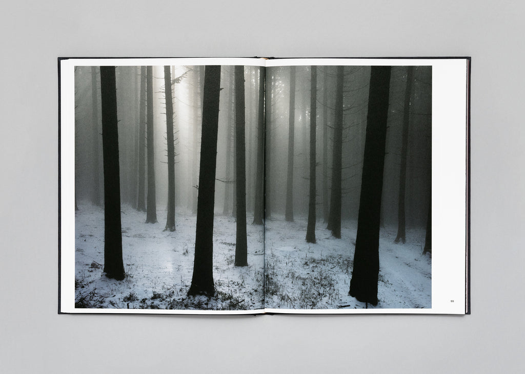 Stéphan Crasneanscki - The Encounter