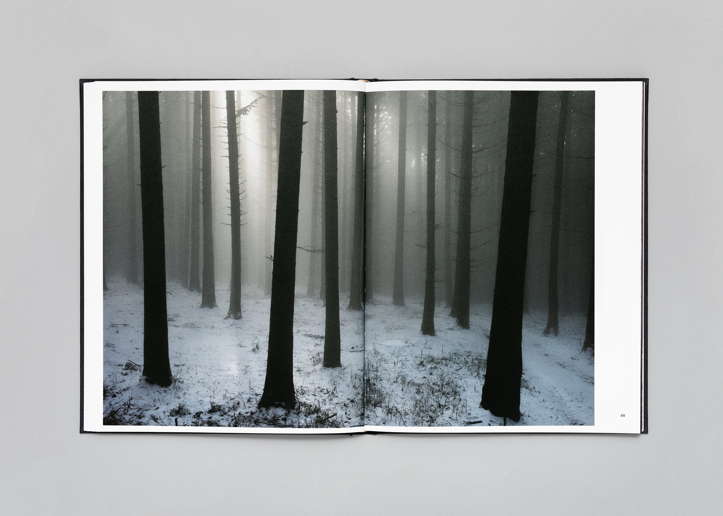 Stéphan Crasneanscki - The Encounter