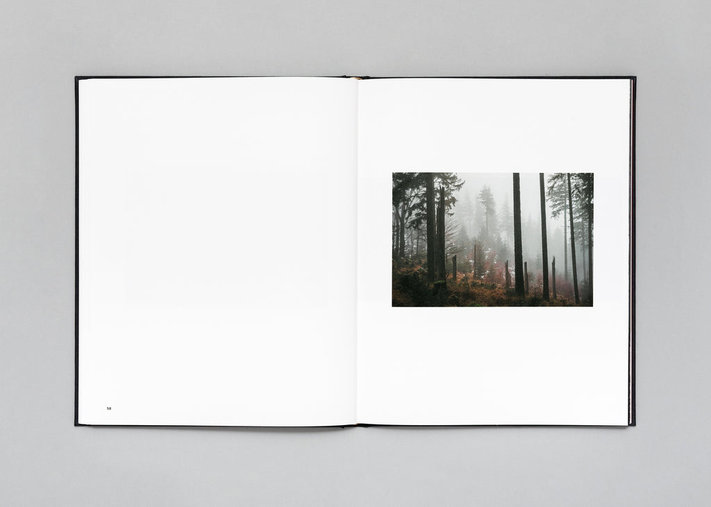 Stéphan Crasneanscki - The Encounter