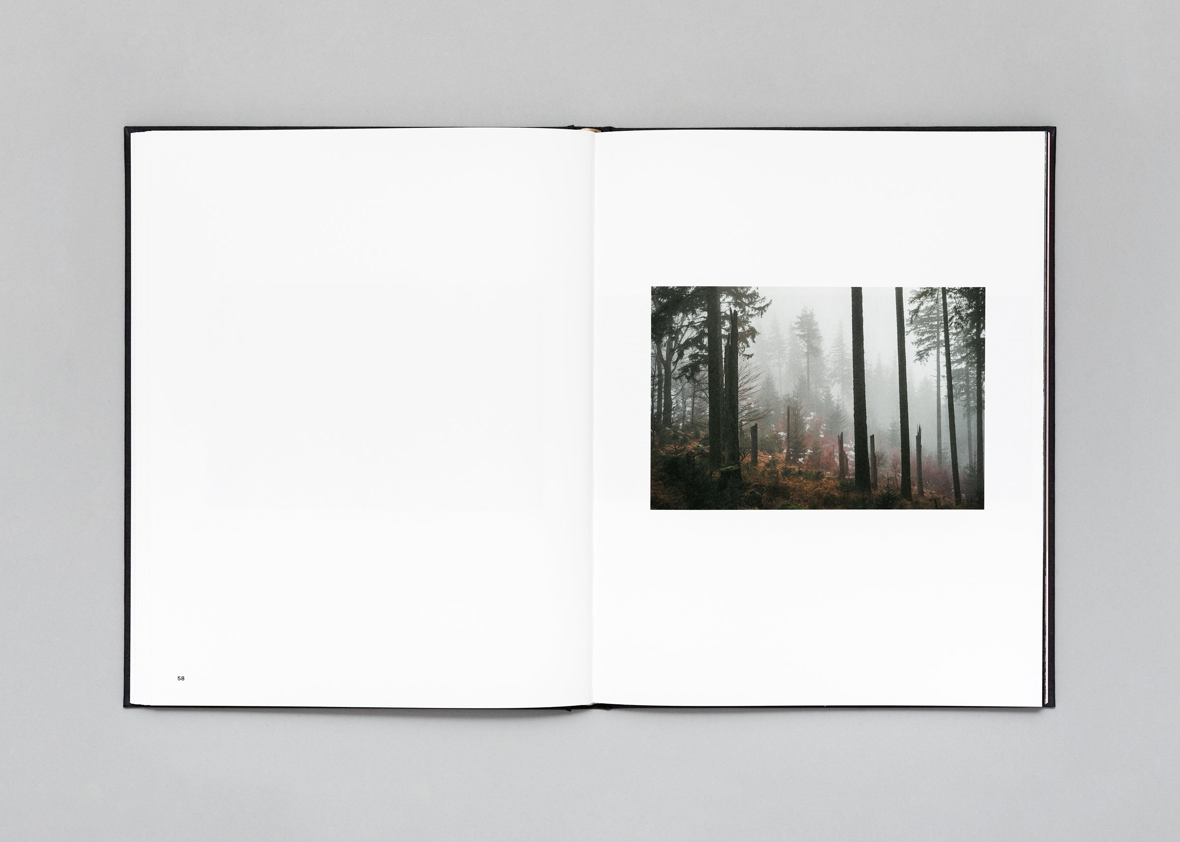 Stéphan Crasneanscki - The Encounter