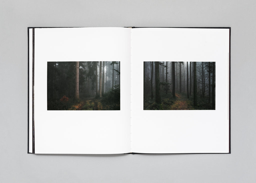 Stéphan Crasneanscki - The Encounter