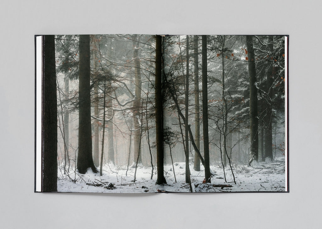 Stéphan Crasneanscki - The Encounter