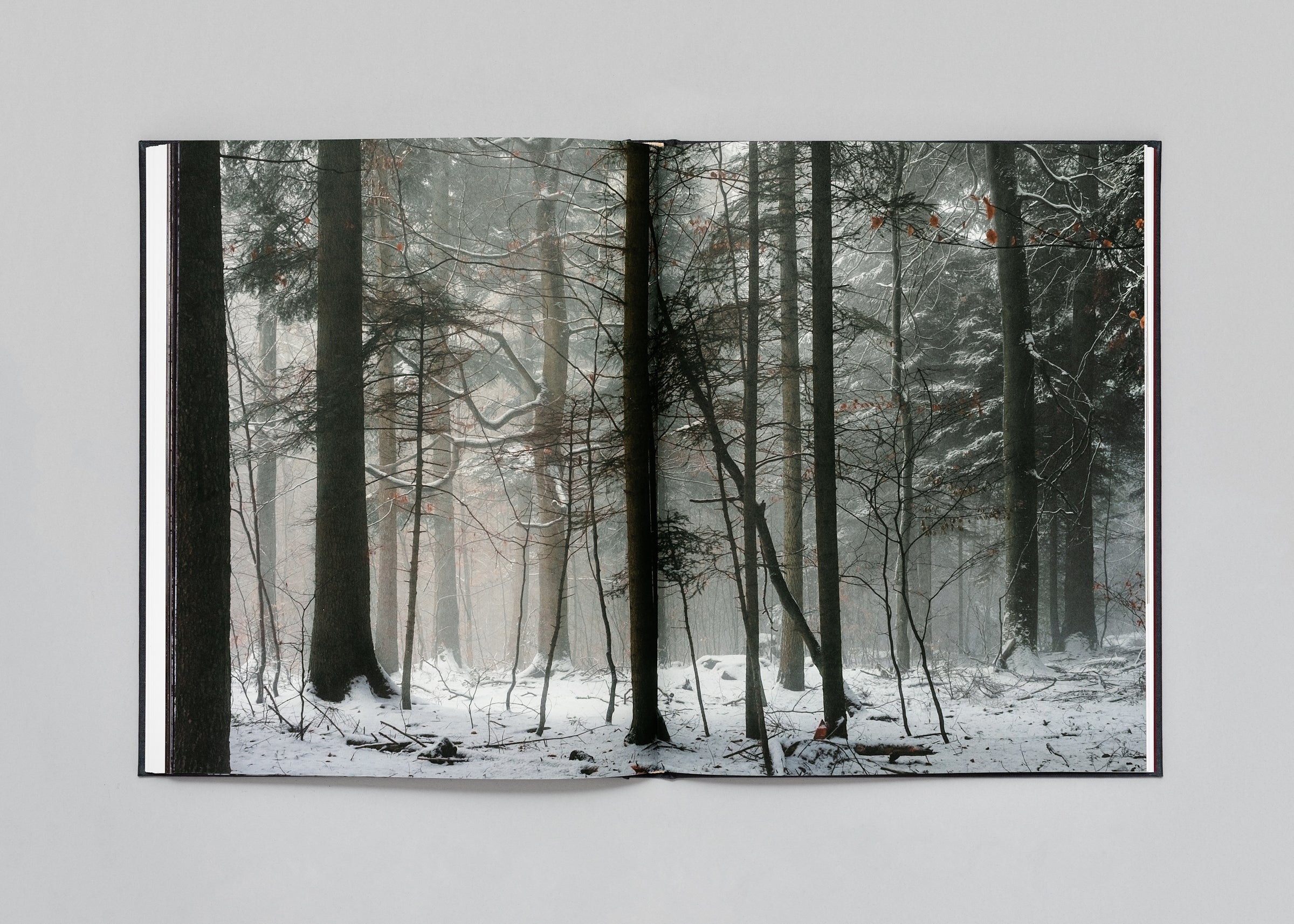 Stéphan Crasneanscki - The Encounter