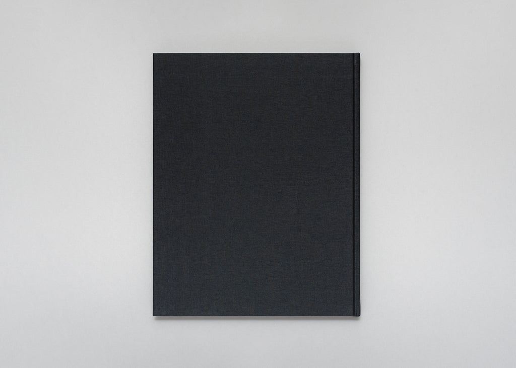 Stéphan Crasneanscki - The Encounter