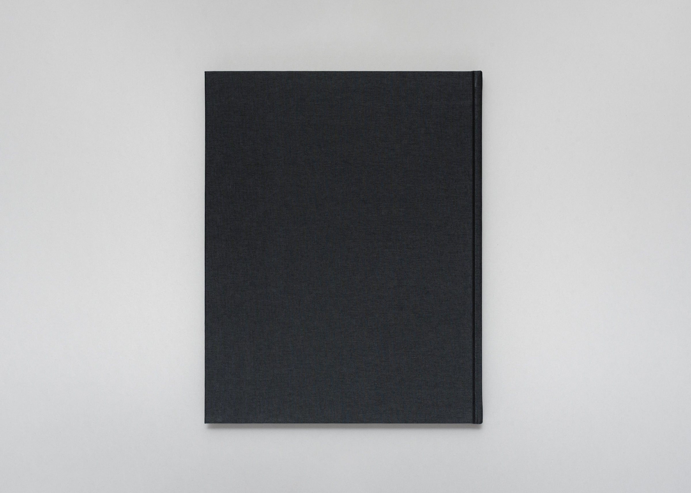 Stéphan Crasneanscki - The Encounter