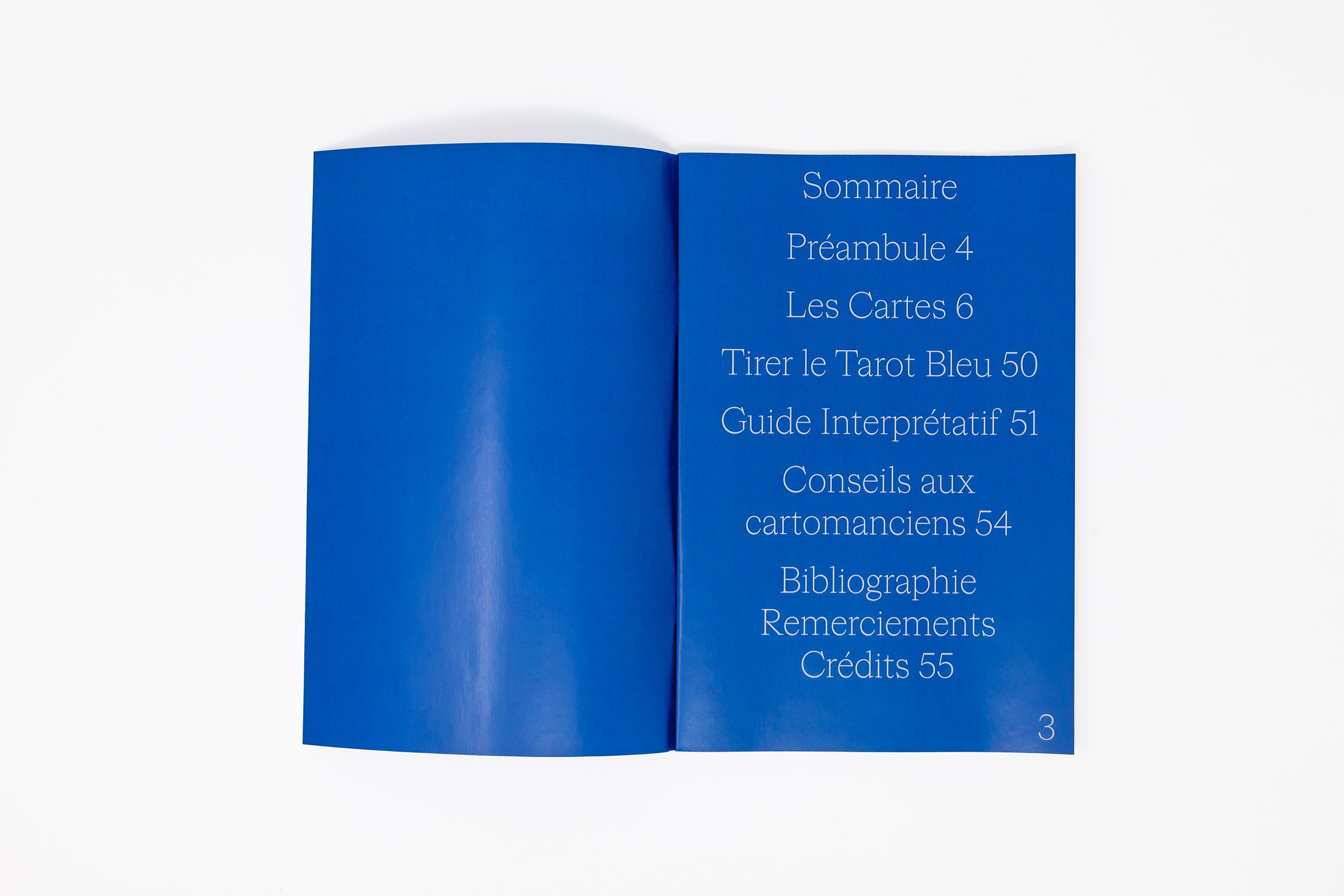 Marcella Barceló & Carol Teillard d'Eyry - Le Tarot Bleu