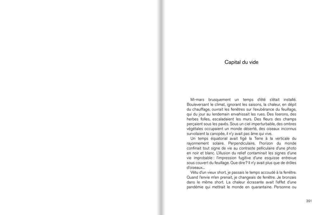 René Denizot - Les impressions suivi de Capital du vide