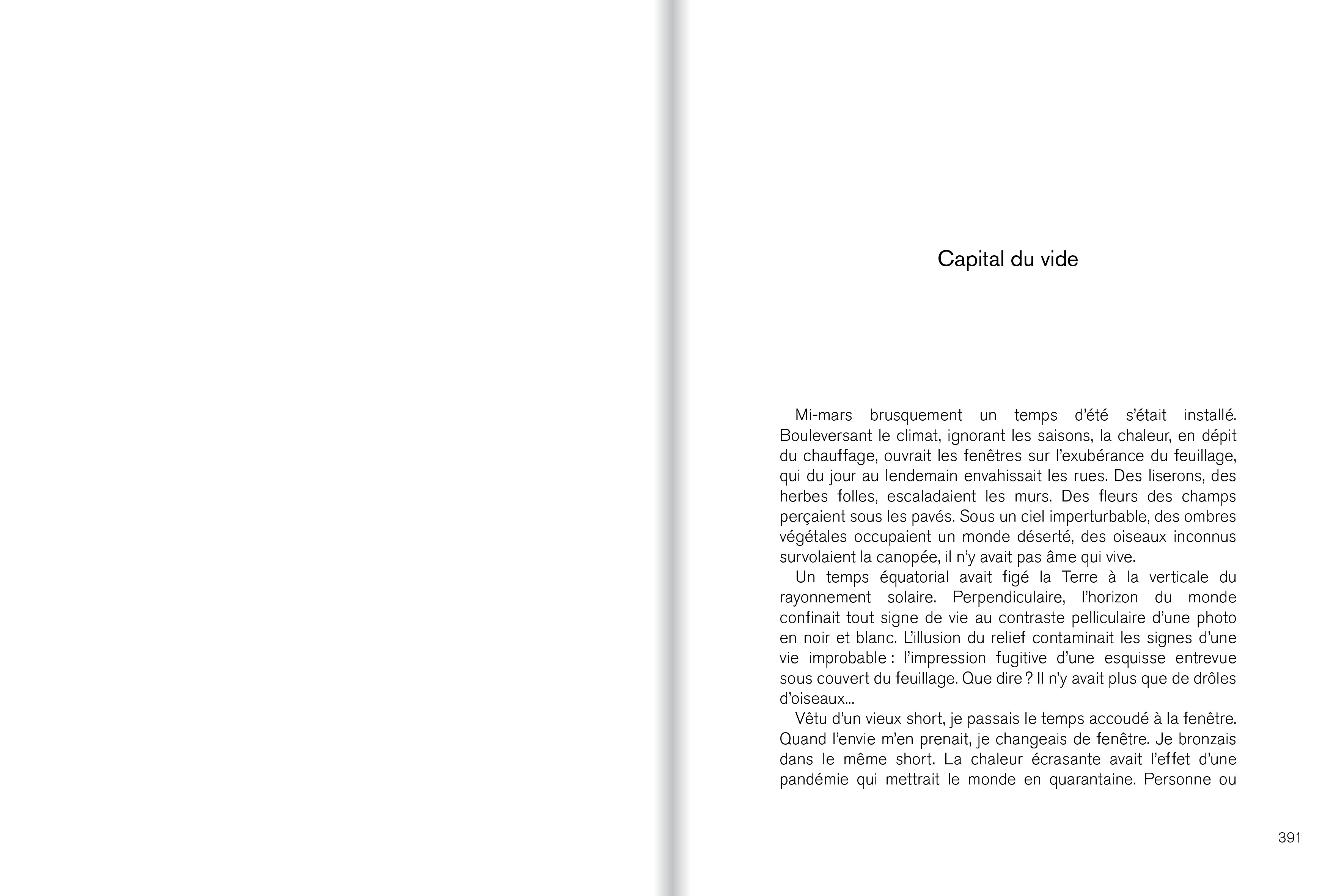 René Denizot - Les impressions suivi de Capital du vide