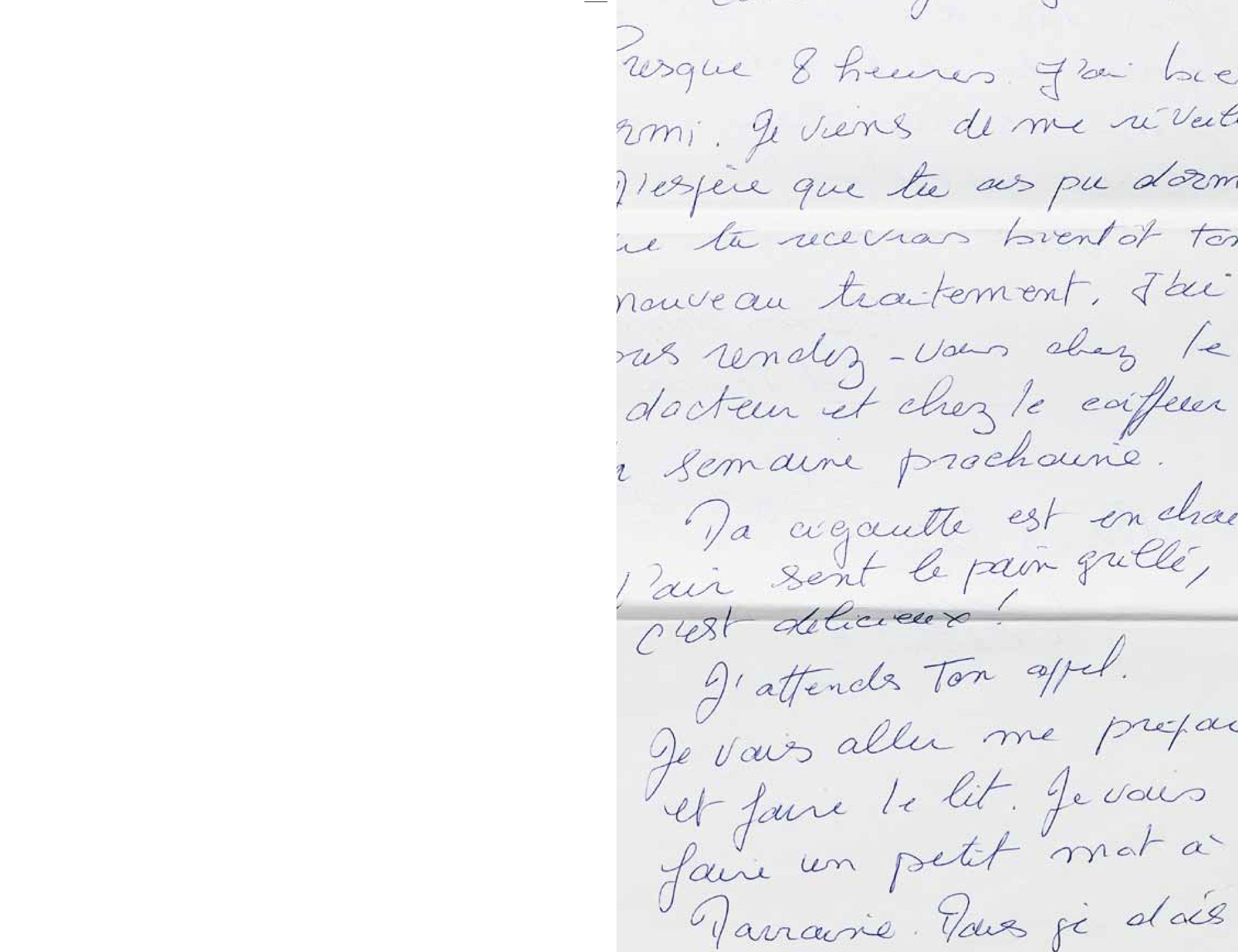 Adrianna Wallis, Arlette Farge - Les Lettres ordinaires