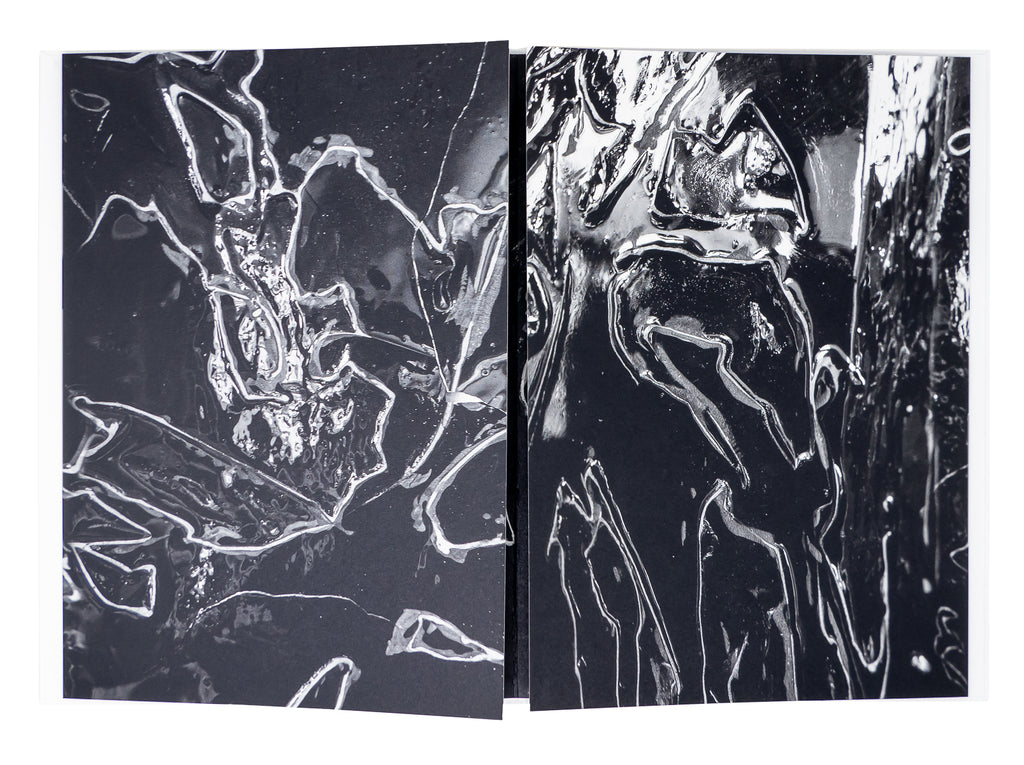 Loris Gréaud - /MIˈÆNDƏ(ɹ)/ Meander