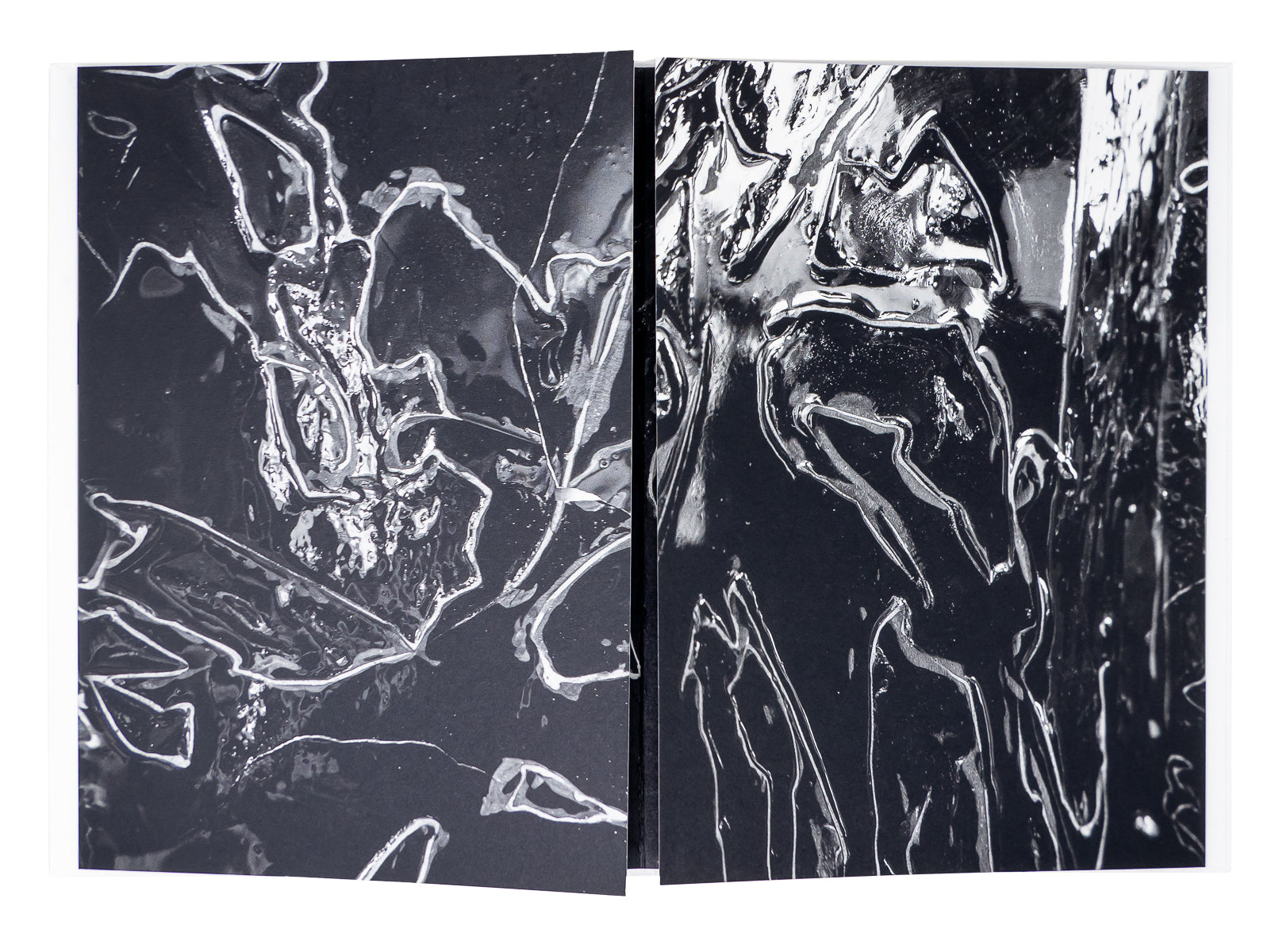 Loris Gréaud - /MIˈÆNDƏ(ɹ)/ Meander