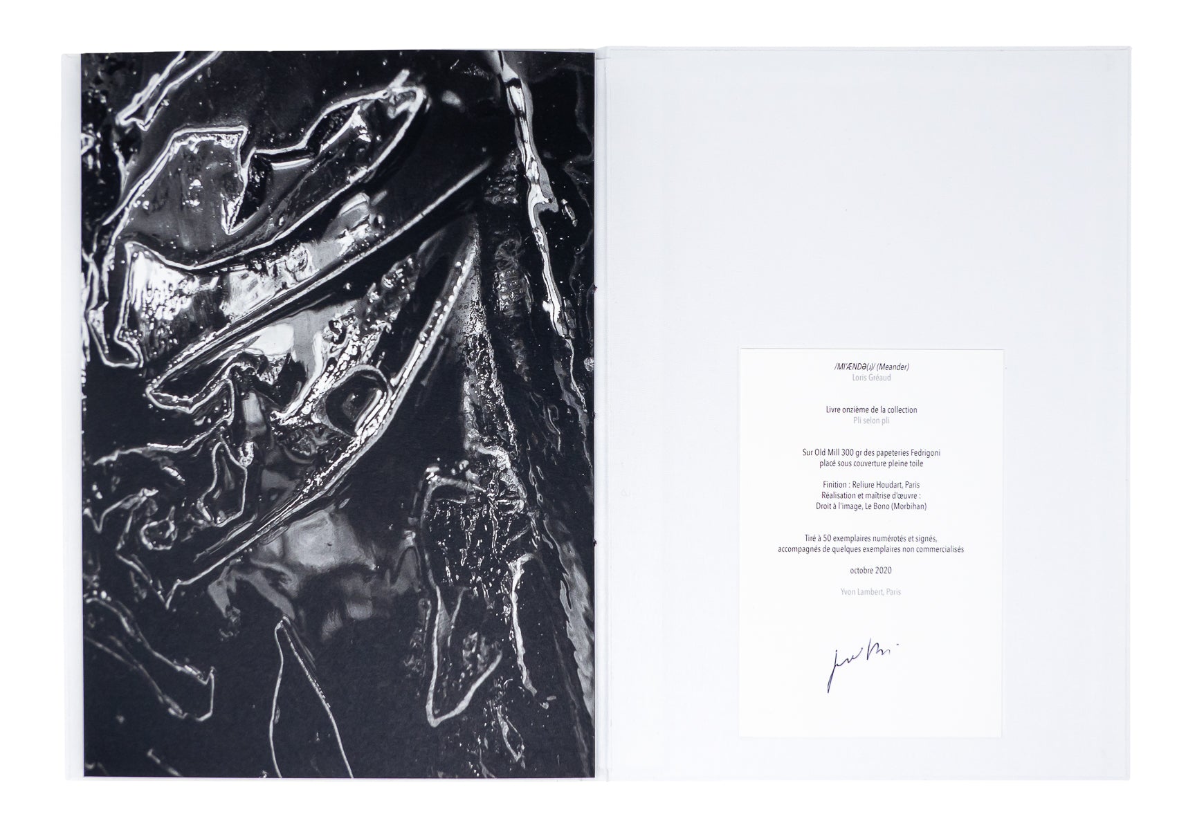 Loris Gréaud - /MIˈÆNDƏ(ɹ)/ Meander