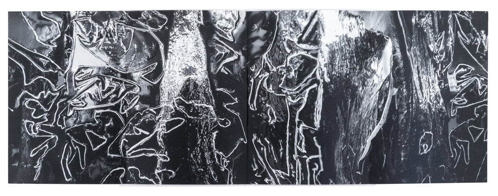 Loris Gréaud - /MIˈÆNDƏ(ɹ)/ Meander