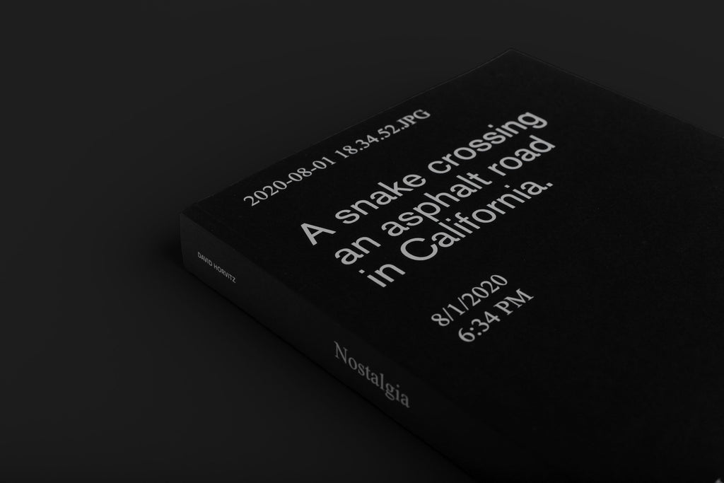 David Horvitz - Nostalgia (2022)