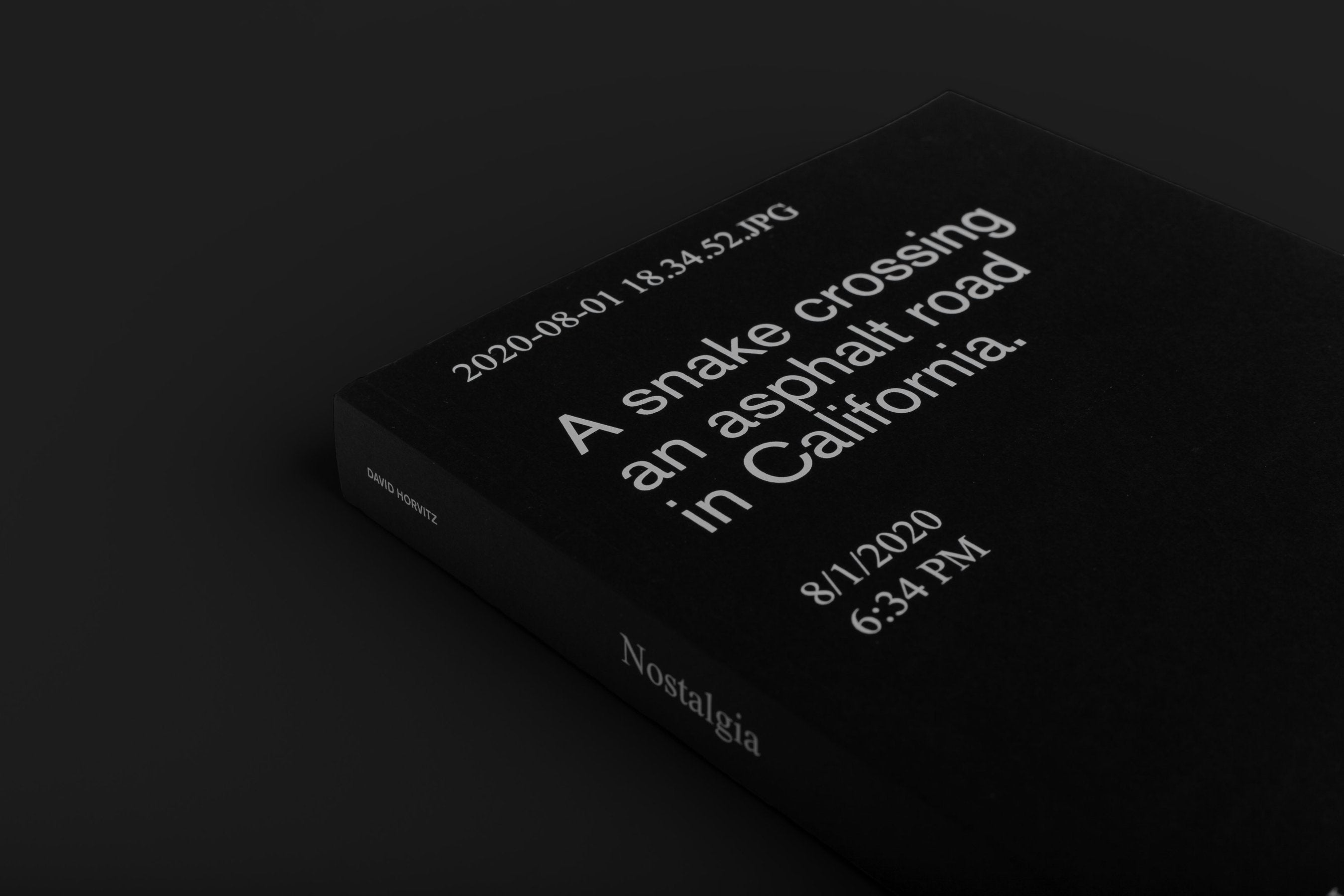 David Horvitz - Nostalgia (2022)