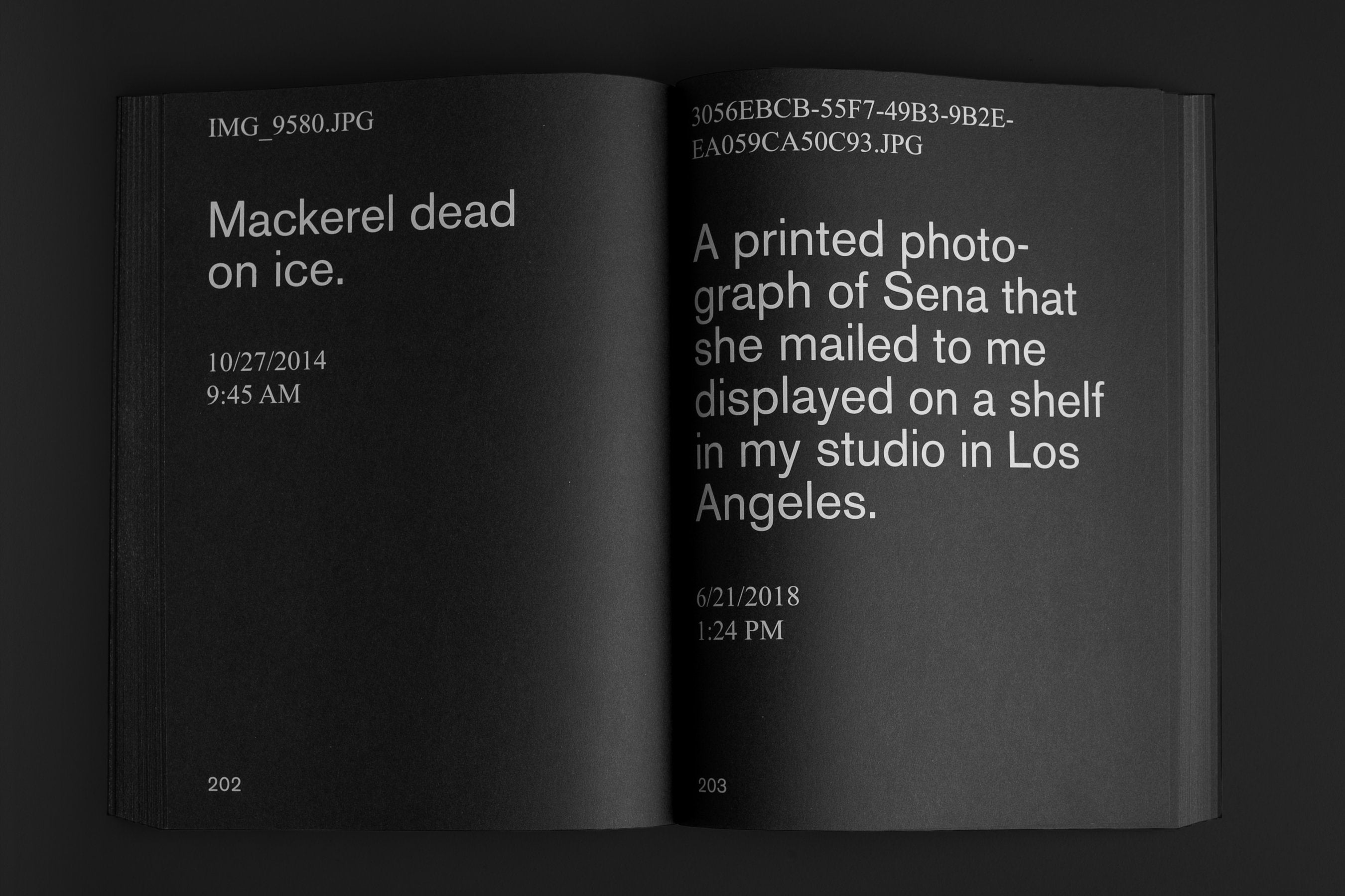 David Horvitz - Nostalgia (2022)