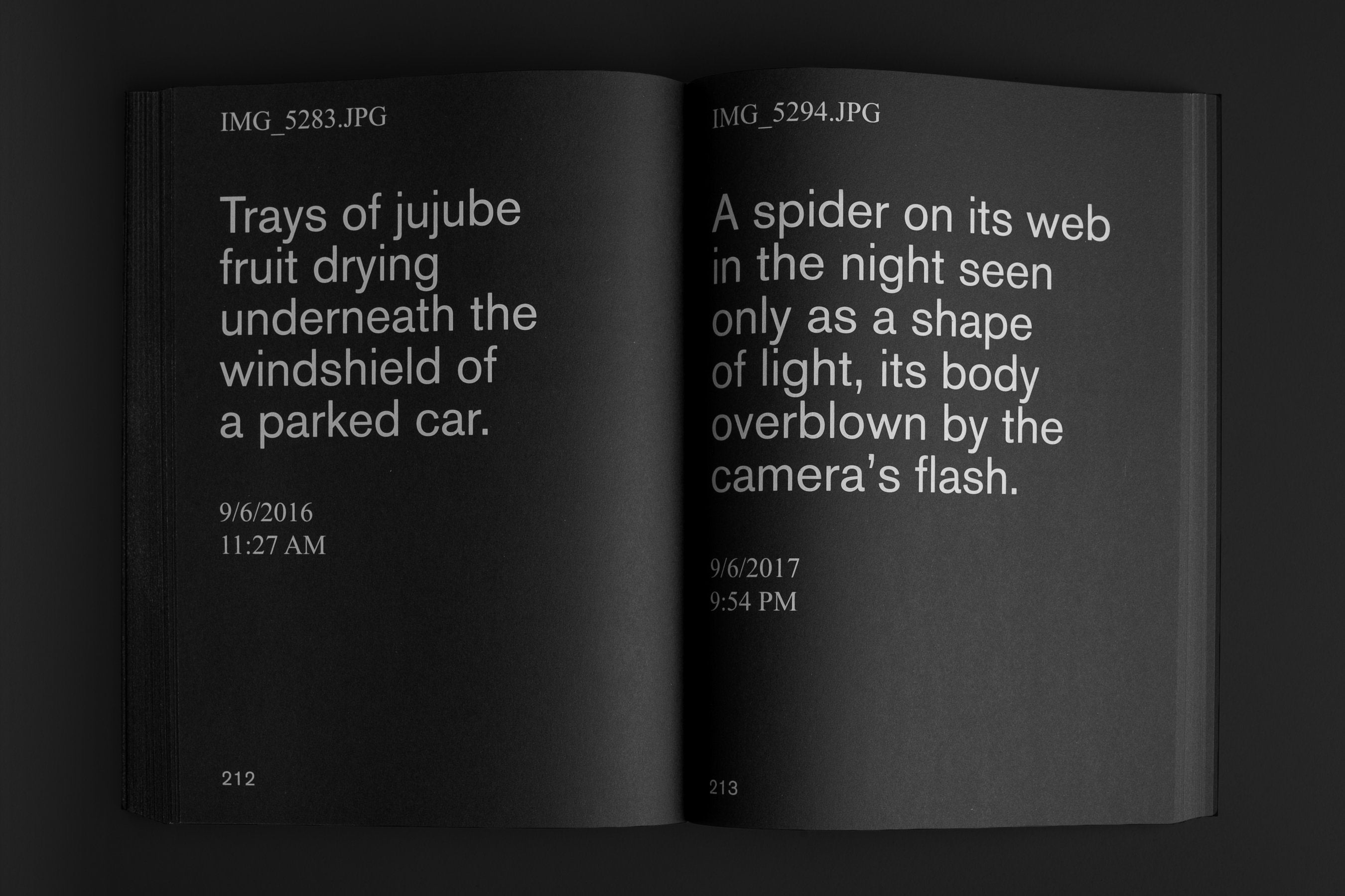 David Horvitz - Nostalgia (2022)