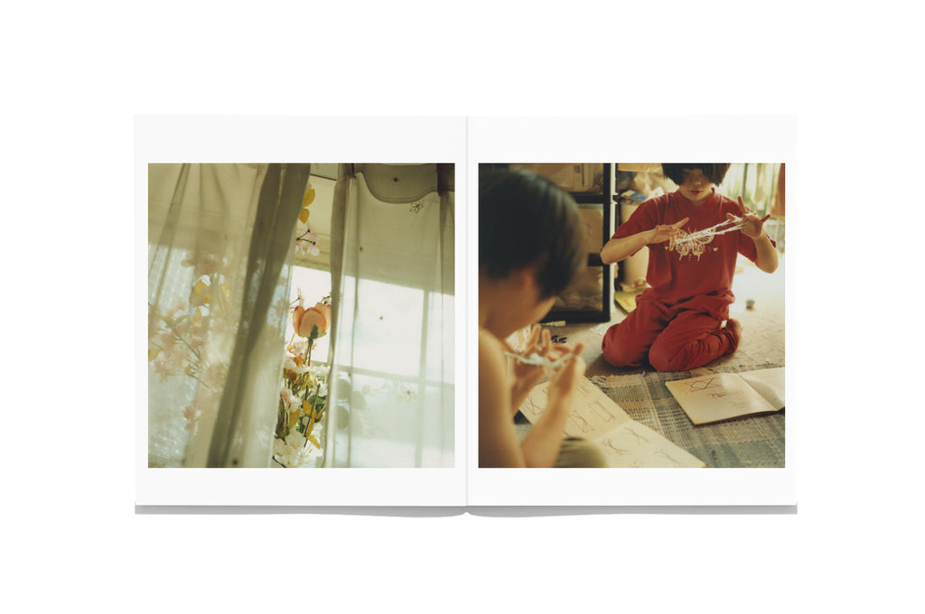 Mikiko Hara - Small Myths