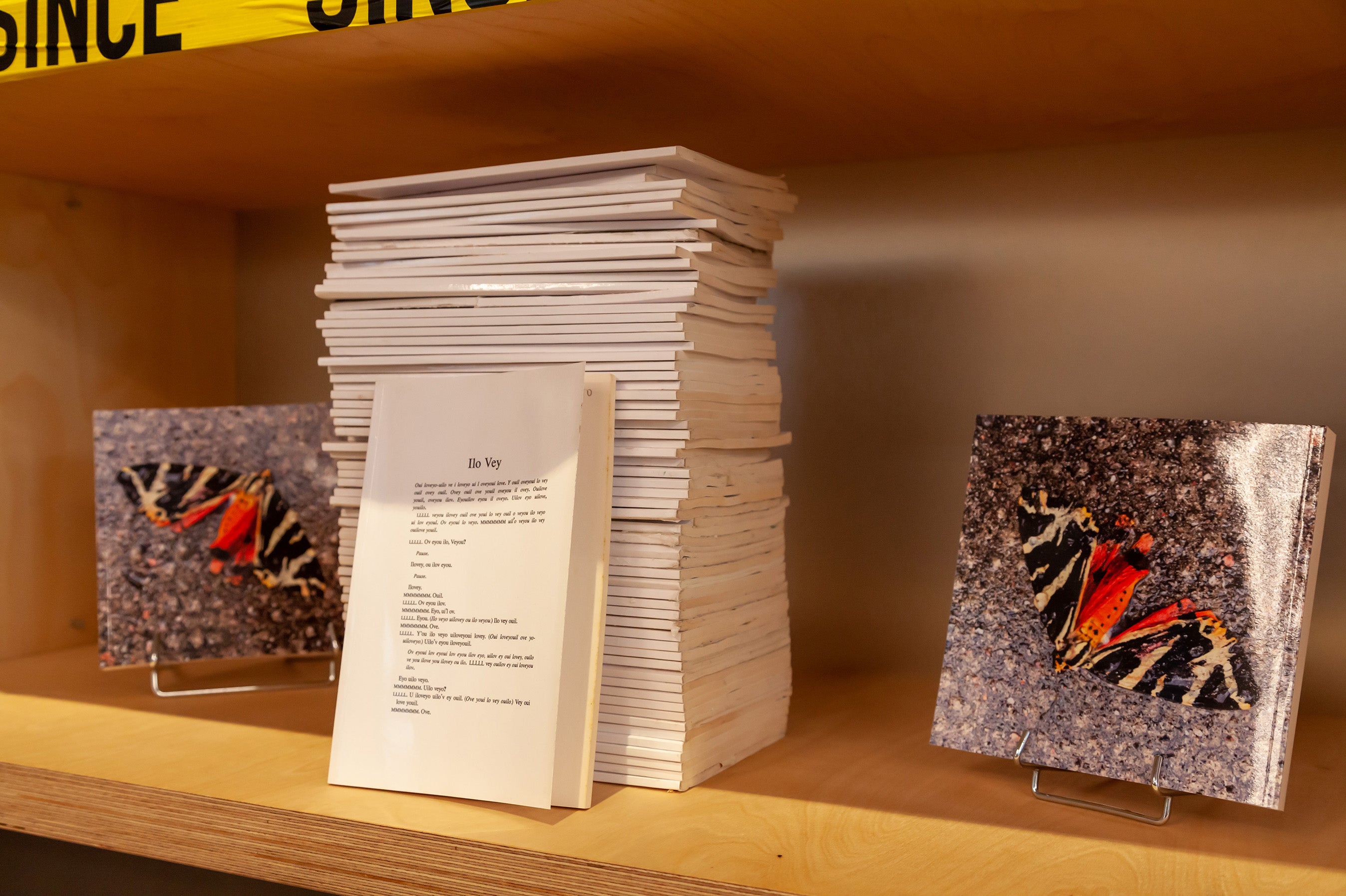 Michael Dean <br>« Tendre-sur-Estime »