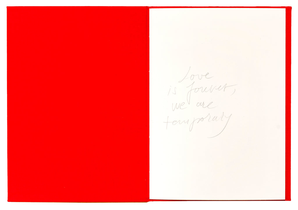 Mircea Cantor - Dragobete