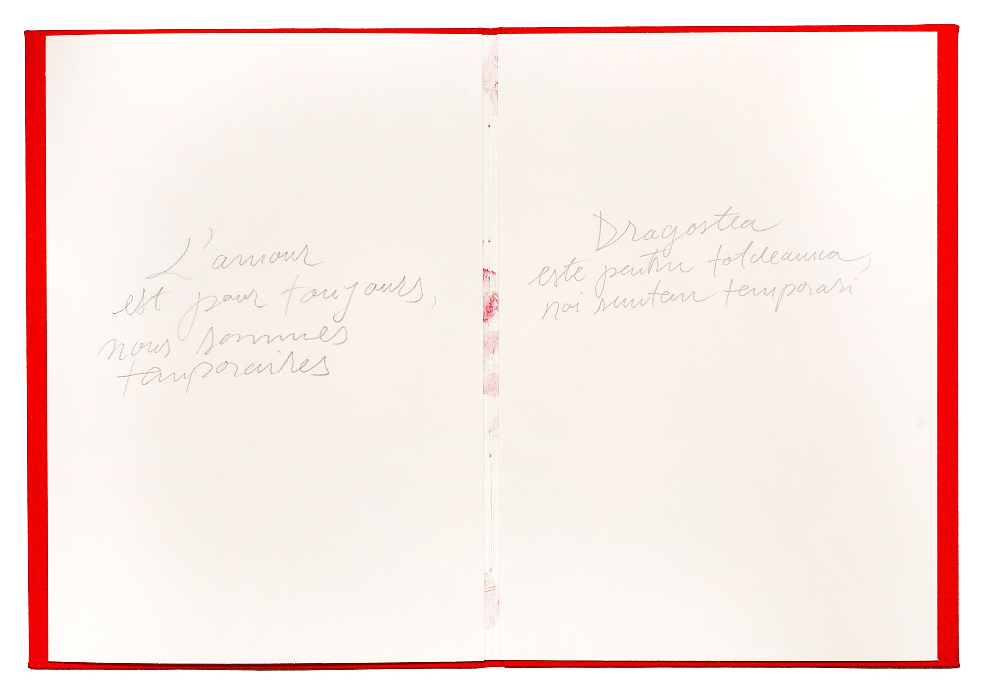 Mircea Cantor - Dragobete