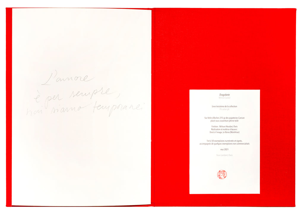 Mircea Cantor - Dragobete