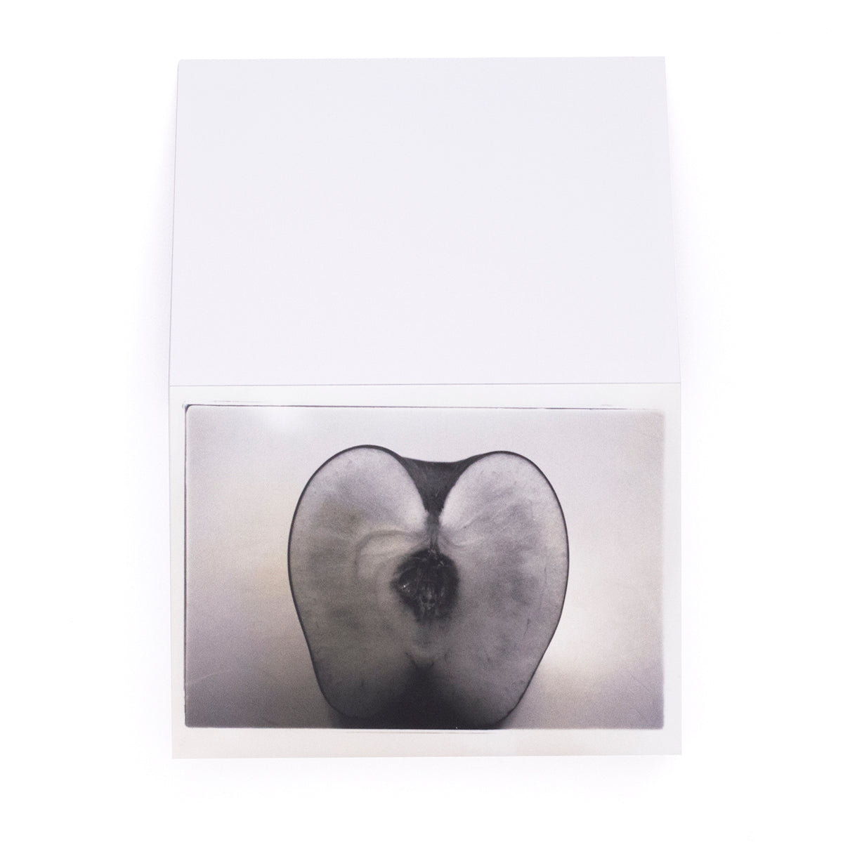 Nobuyoshi Araki - Theater of Love