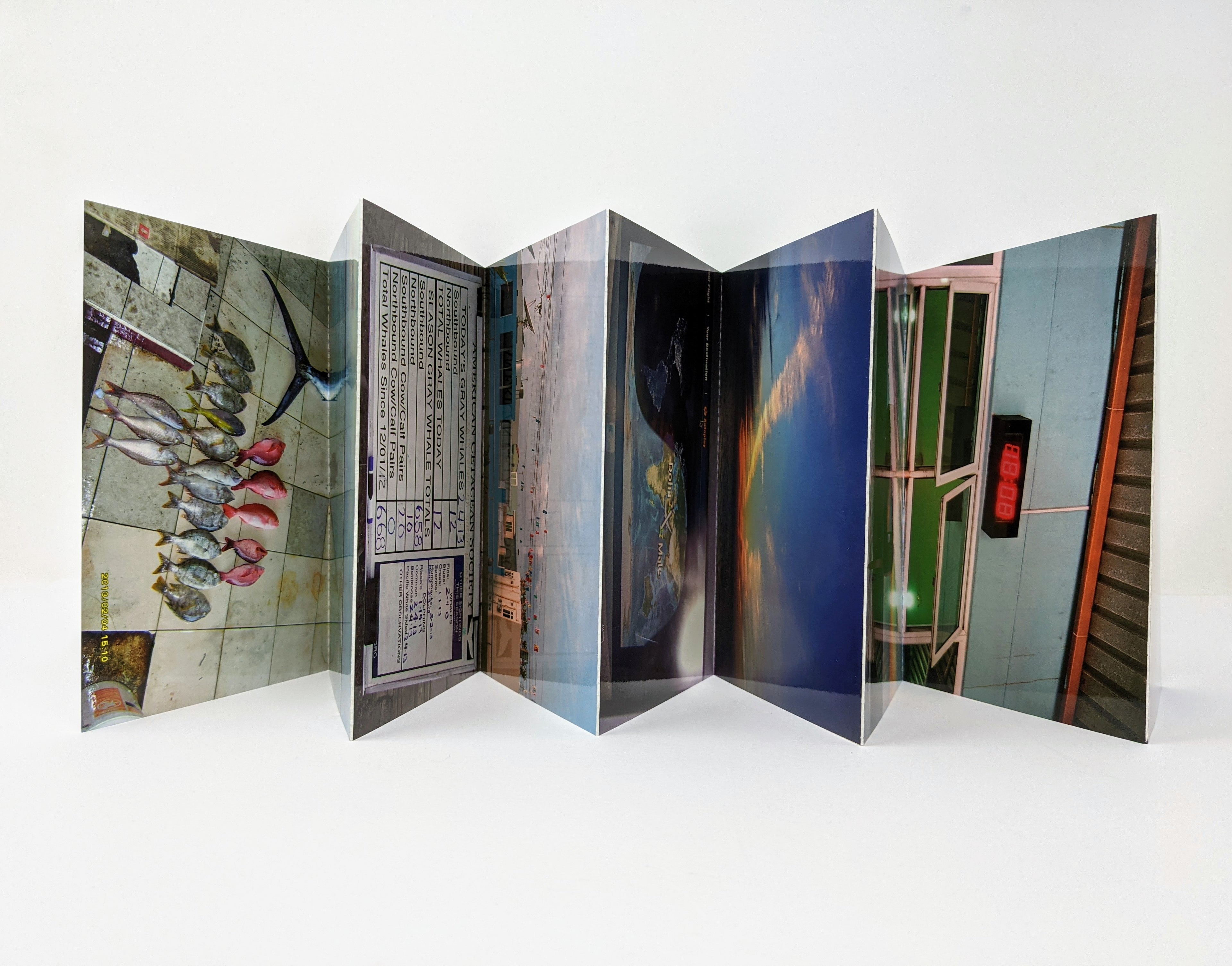 David Horvitz - The Distance of a Day