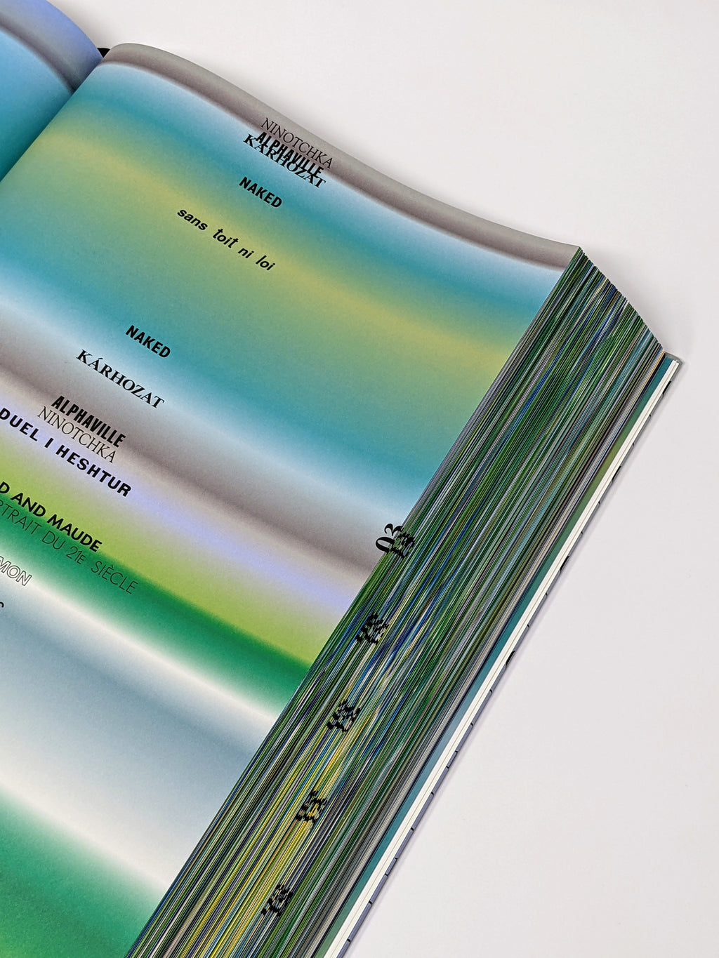 Anri Sala - Why The Lion Roars: Forecasts