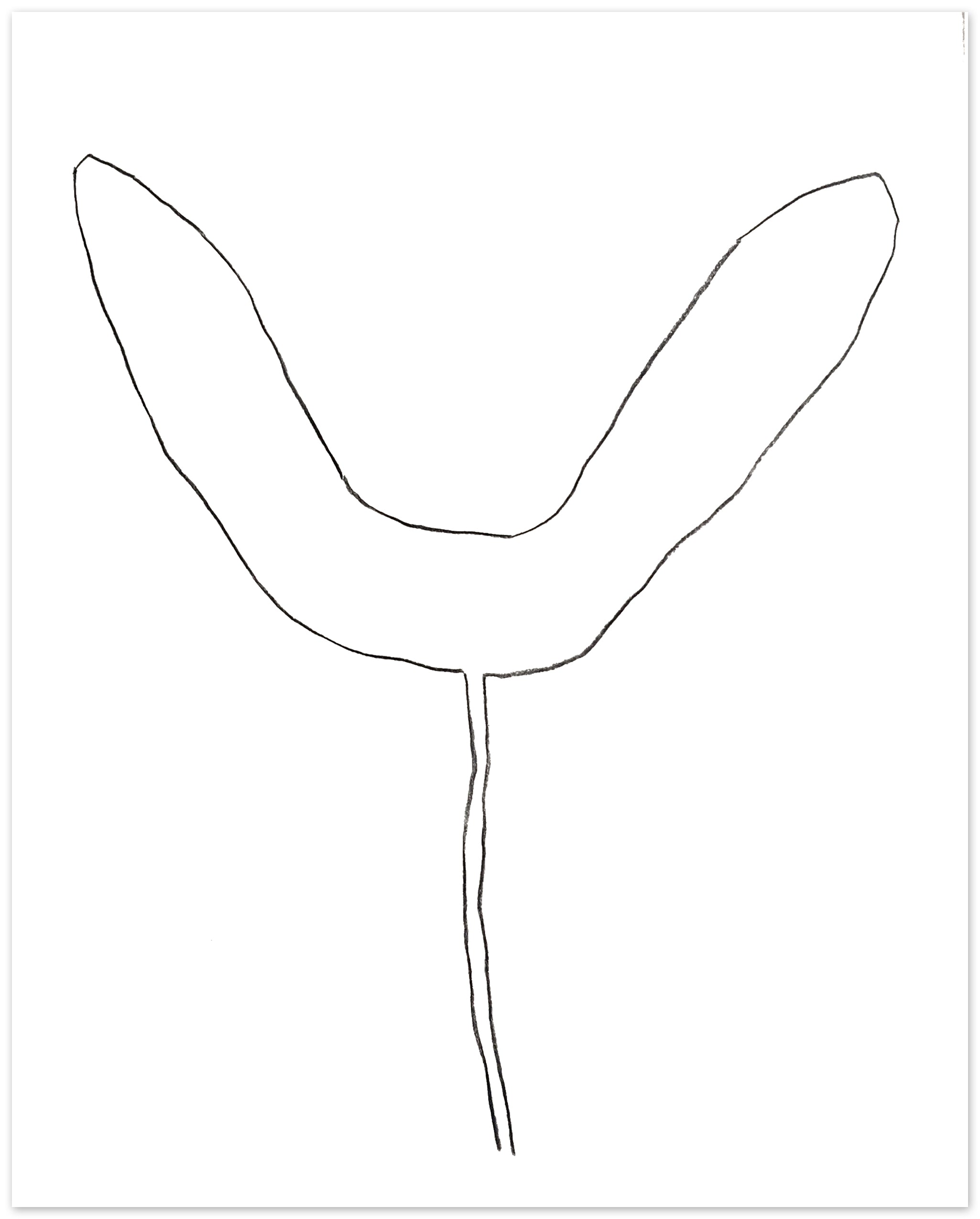 Nigel Peake - Propellor (Sycamore)