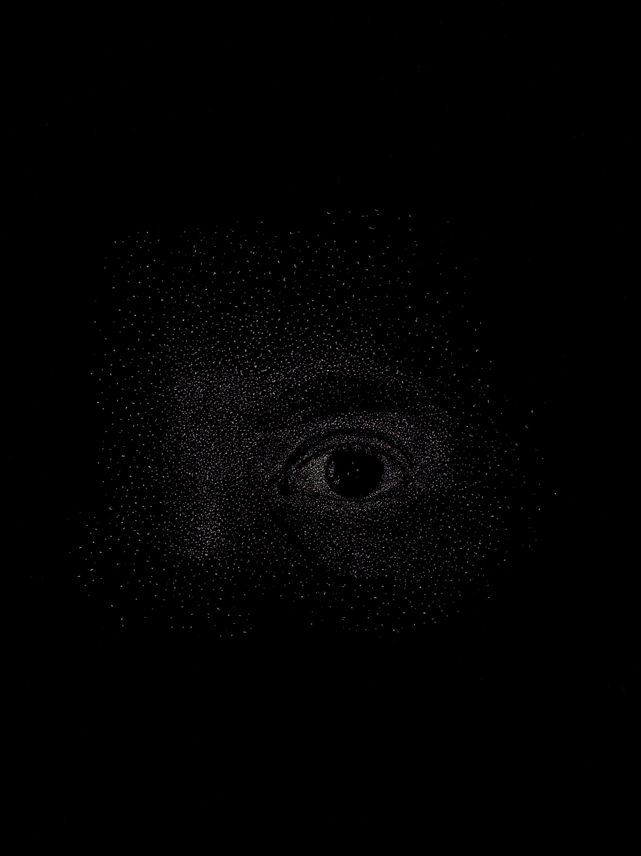 Giuseppe Penone - Identità