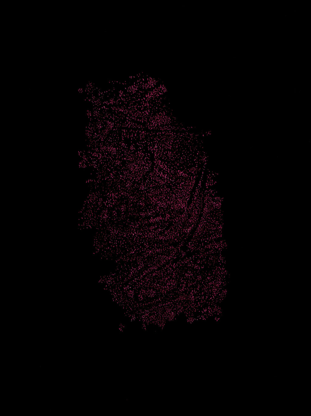 Giuseppe Penone - Identità