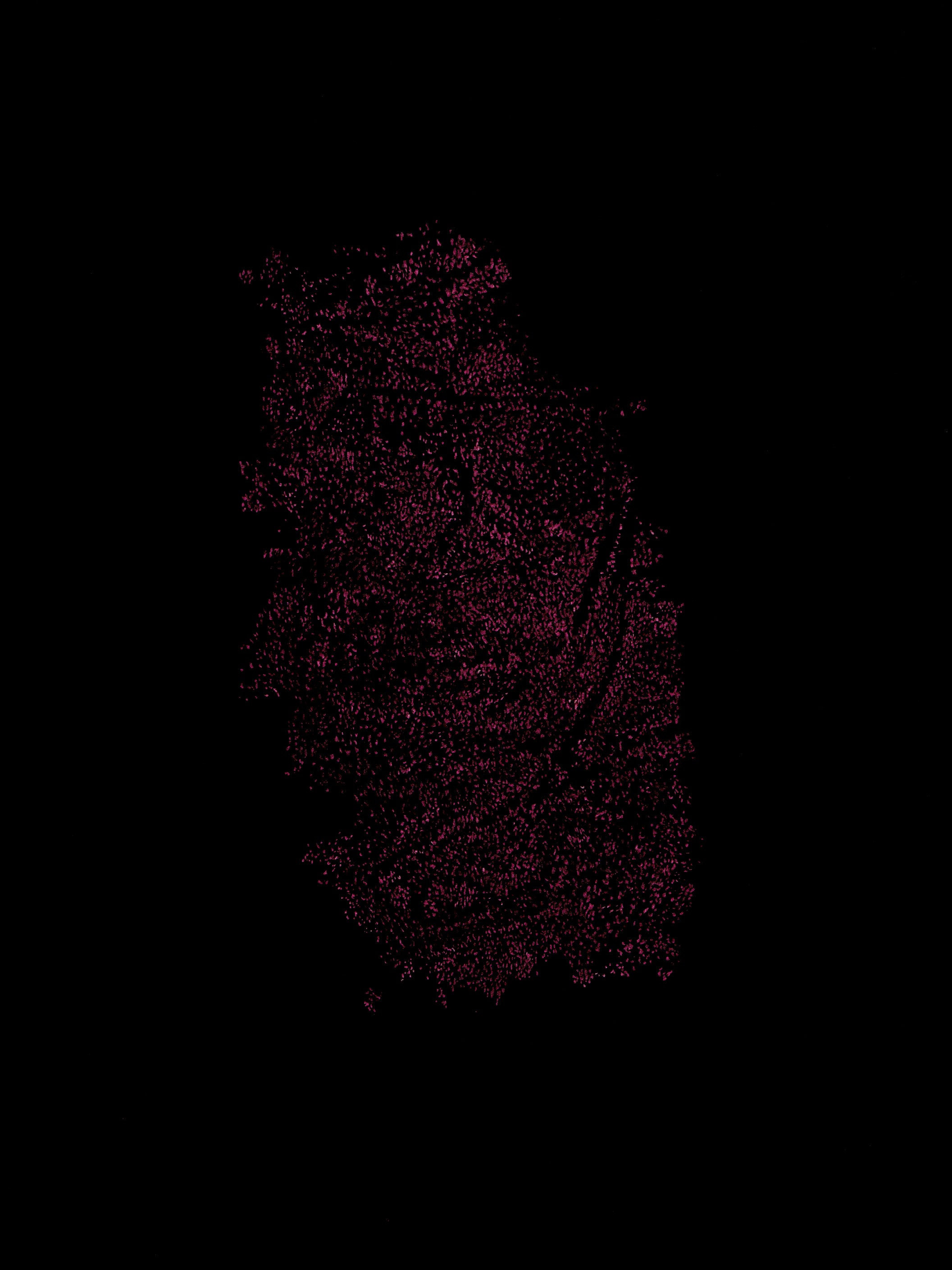 Giuseppe Penone - Identità