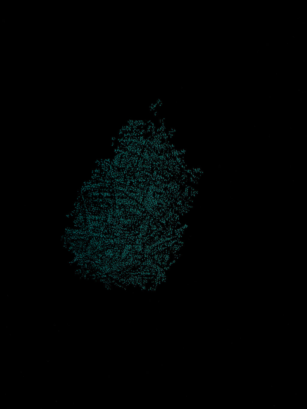 Giuseppe Penone - Identità