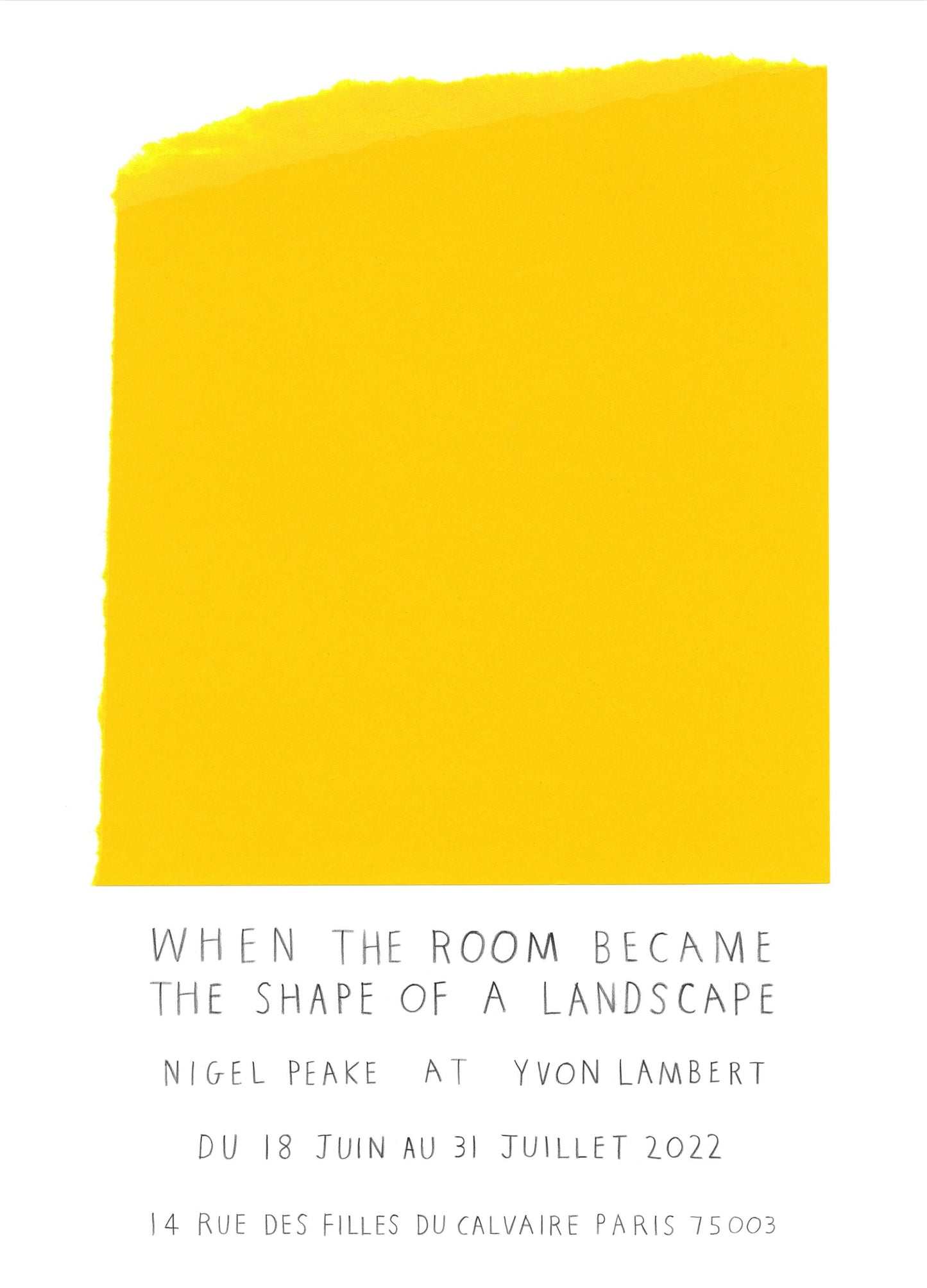 Nigel Peake - When the room became the shape of a landscape (Poster)