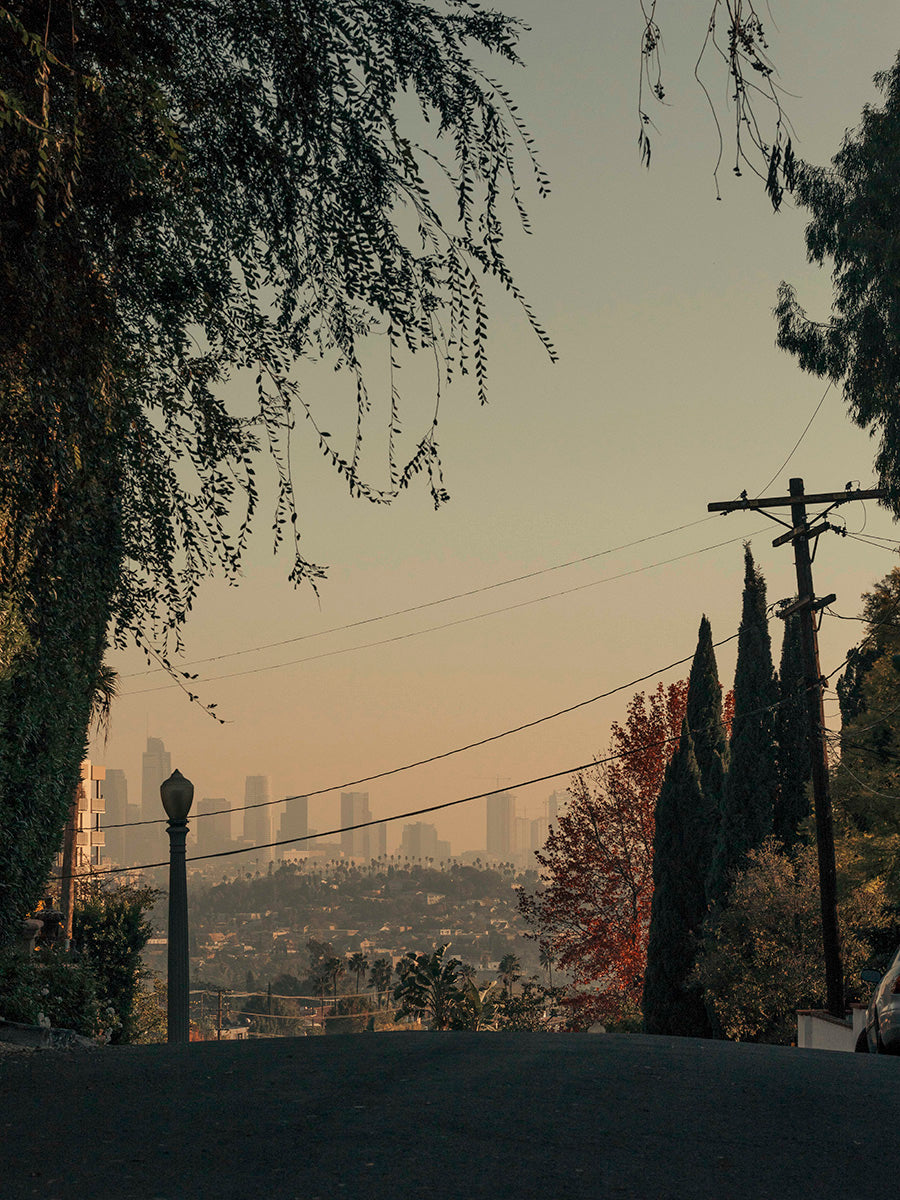 Romain Laprade - Colline, Los Angeles, 2018